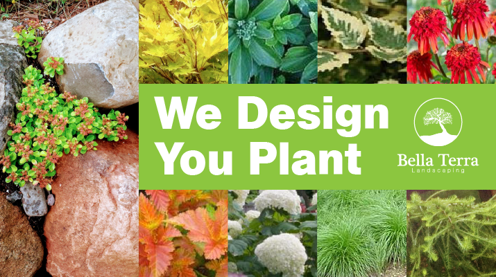 We Design You Plant Service from Bella Terra Landscape
