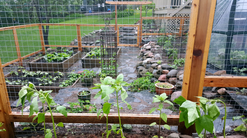 Edible Garden in Duluth